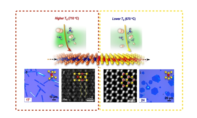 The First 2D Field-Effect Transistor Made from a Single Material ...