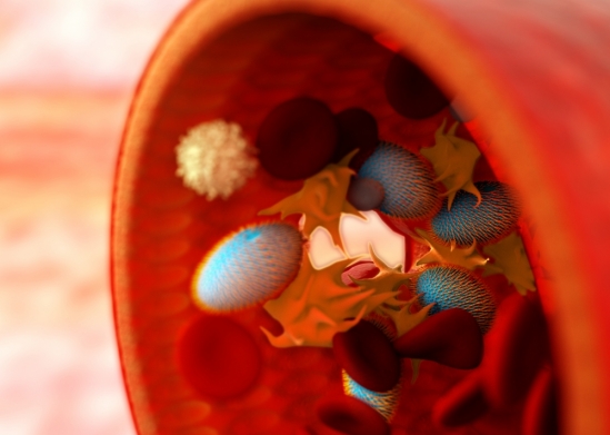 Blood Floding Bio-Inspired Bleeding Control - Engineering.com
