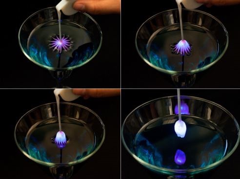 Engineering, MIT, Food,flower, candy, confection, culinary surface tension, liquor, drinks, bar, cocktail, alchohol