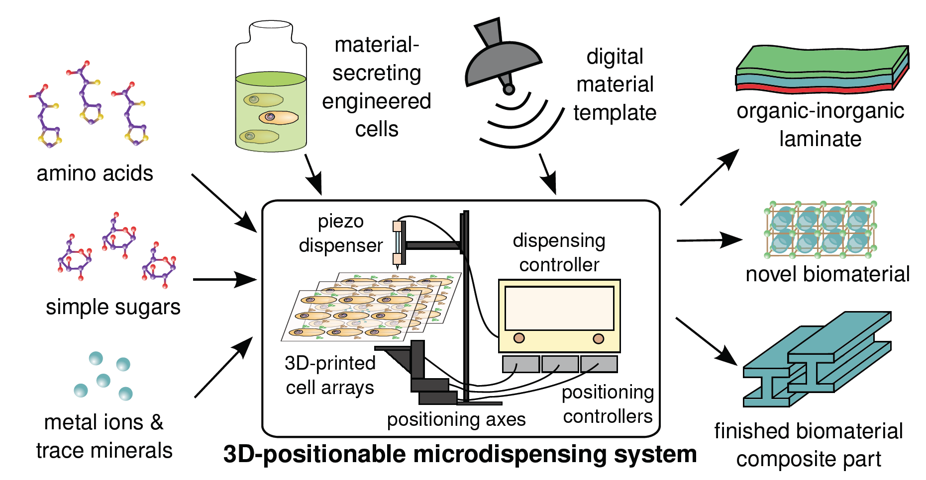 NASA, biomaterial, printer, 3d printing, space