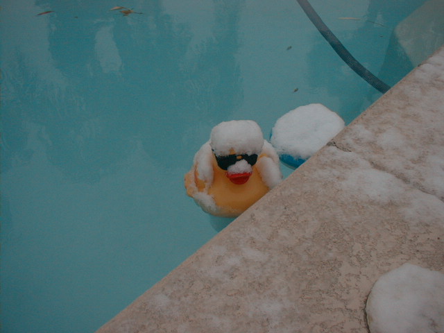 deleted Pictuies 025.jpg