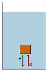Buoyant Forces