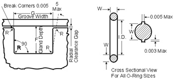 Ring Cross-Section