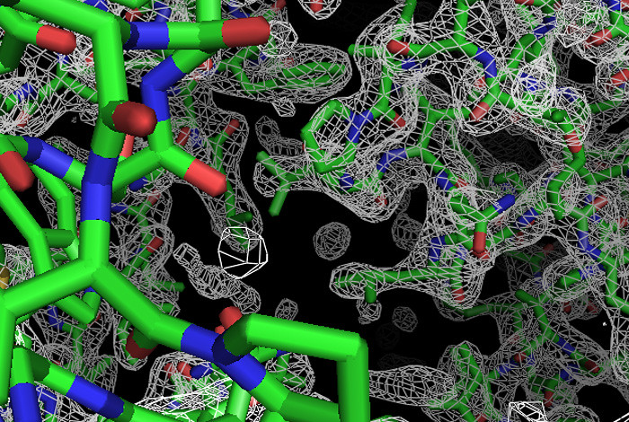 A picture of a membrane protein called cysZ determined with Phenix software using data that could not previously be analyzed. 