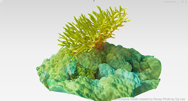 3D printing, model, coral reef, autodesk