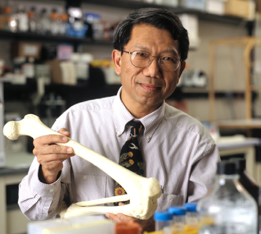 3d printing, bioprinting, bone, stem cells, cartilage, knee, medicine