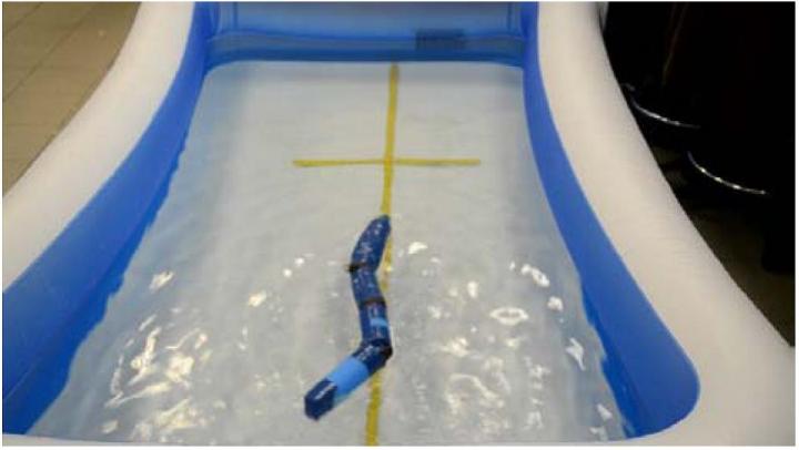 robot, eel, autonomous, UUV, military, spy, 