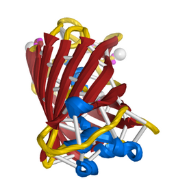 3D printing, medicine, NIH, models, apperatus
