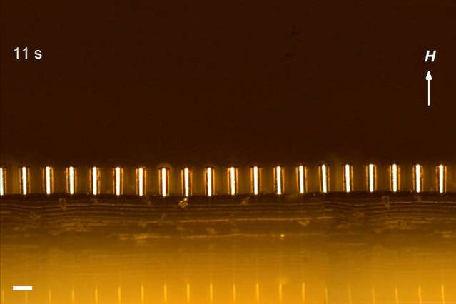material, MIT, biomimicry,nickle