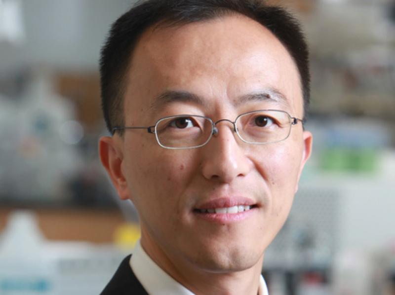 3d printing, bioprinting, tissue