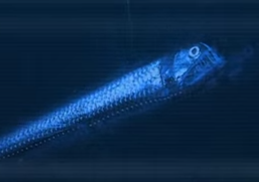 space, ocean, earth, evolution, geology, life, ET, simulation
