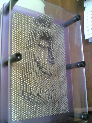 An impression left in a pin art board by the lower half of a face. (Image courtesy of Eduardo Habkost.)